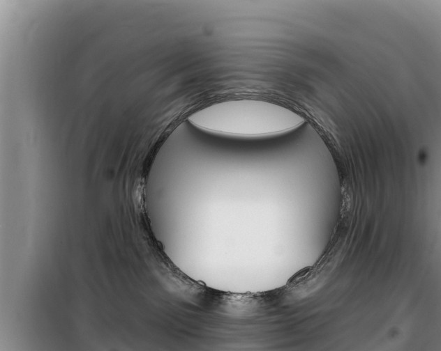 X0000100200141200805300755
