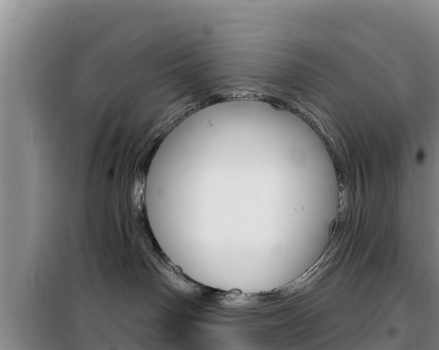 X0000100200142200805300755