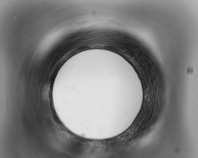 X0000100200146200805300754