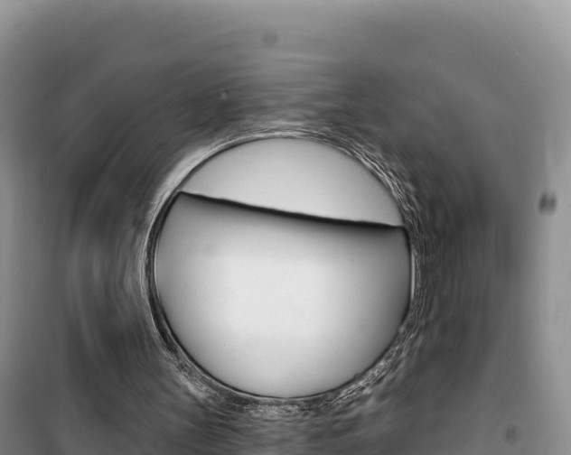 X0000100200147200805300754