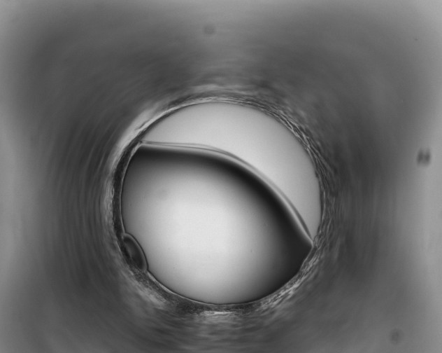 X0000100200150200805300754