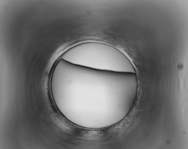 X0000100200151200805300754