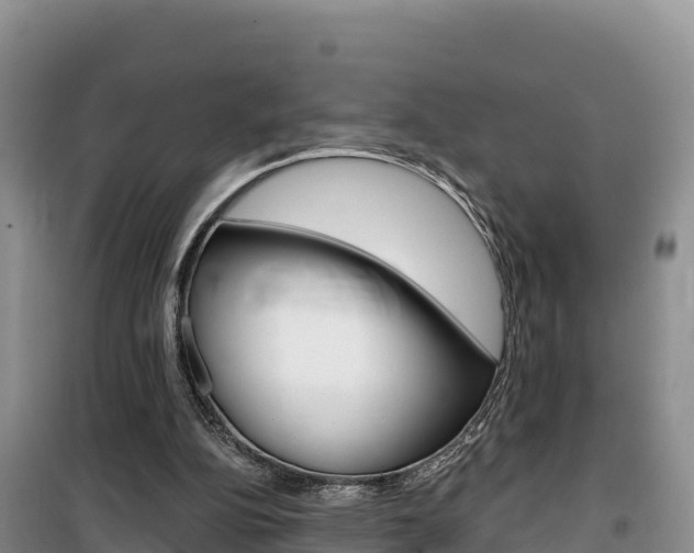 X0000100200152200805300754
