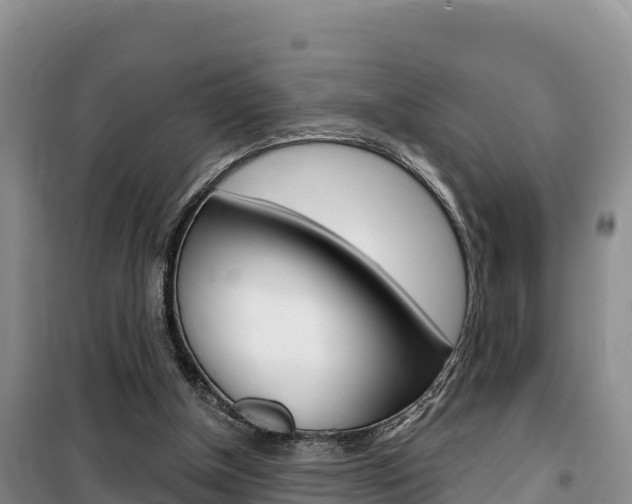X0000100200154200805300754