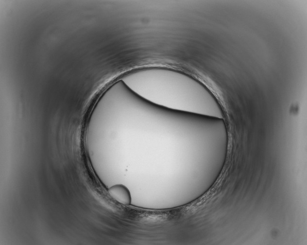X0000100200155200805300754