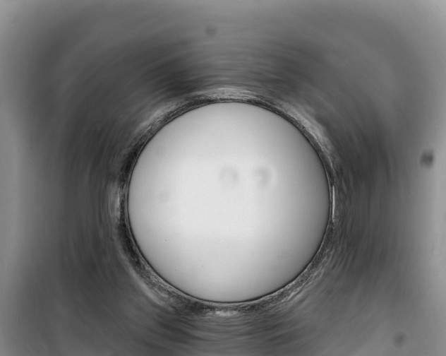 X0000100200157200805300754