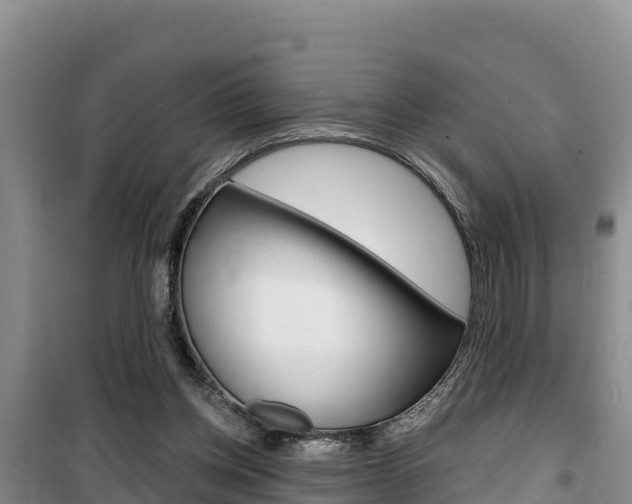 X0000100200158200805300754