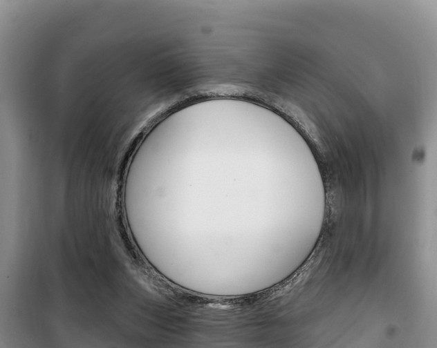 X0000100200159200805300754