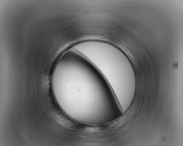 X0000100200160200805300754