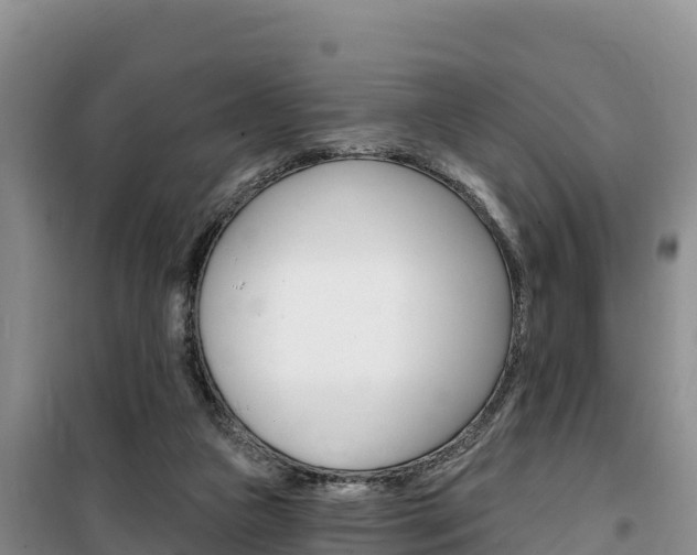 X0000100200161200805300754