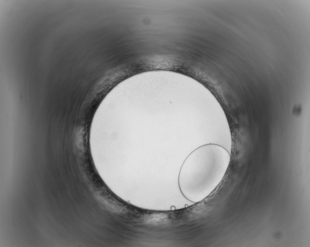 X0000100200162200805300754