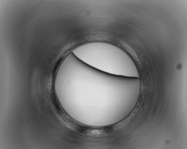 X0000100200163200805300754