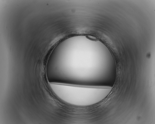 X0000100200164200805300754