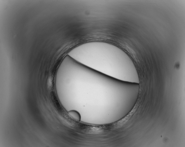 X0000100200166200805300754