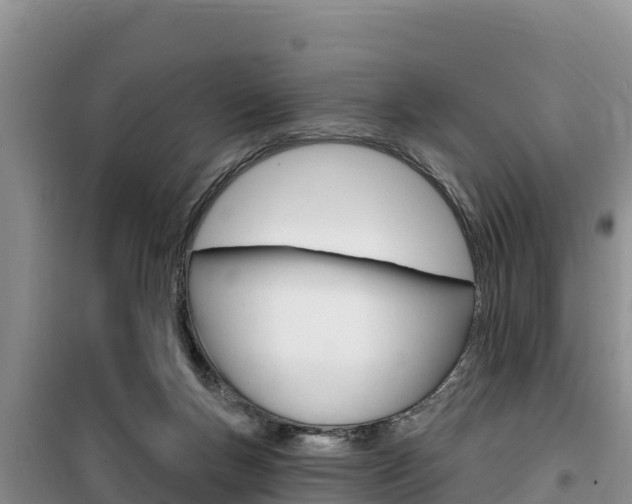 X0000100200167200805300754