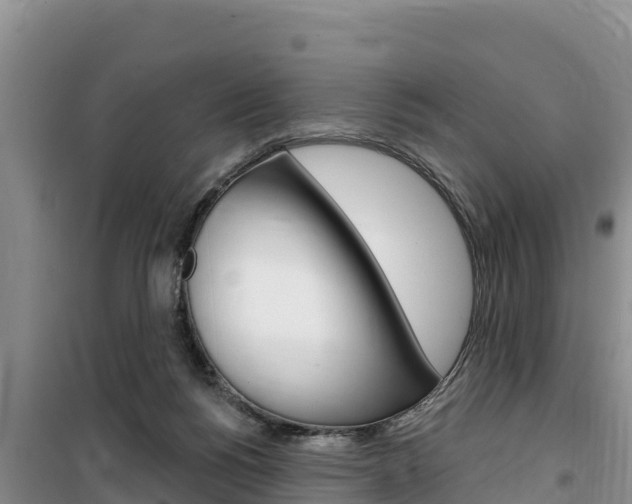 X0000100200168200805300754