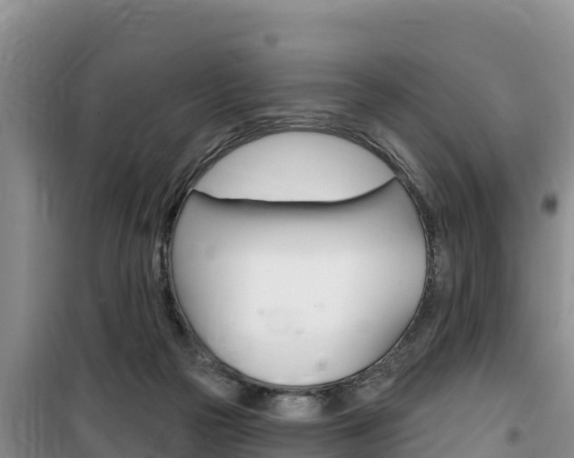 X0000100200169200805300754