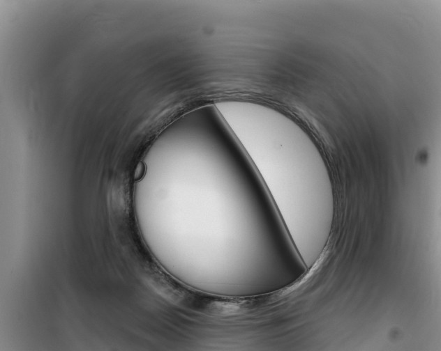 X0000100200170200805300755