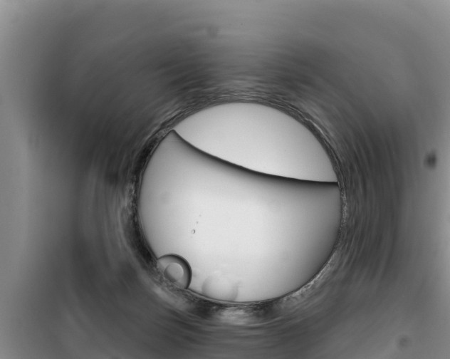 X0000100200171200805300755