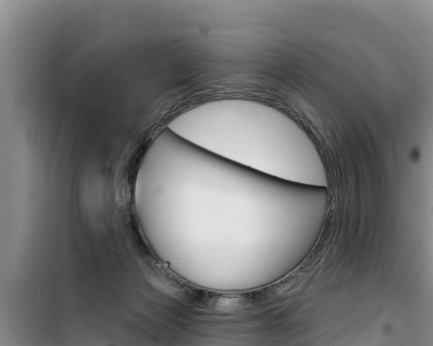 X0000100200173200805300755