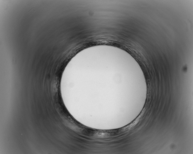 X0000100200174200805300755
