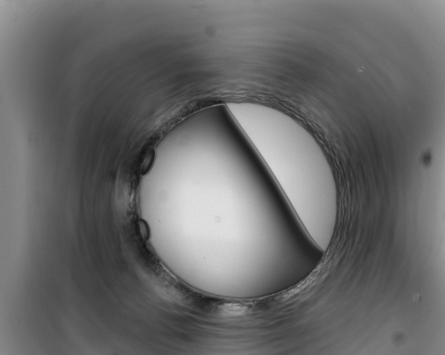 X0000100200176200805300755