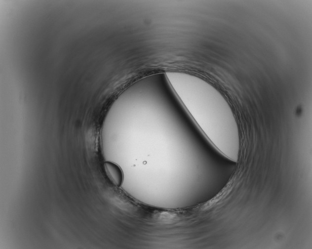 X0000100200180200805300755