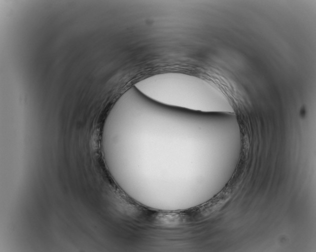 X0000100200181200805300755