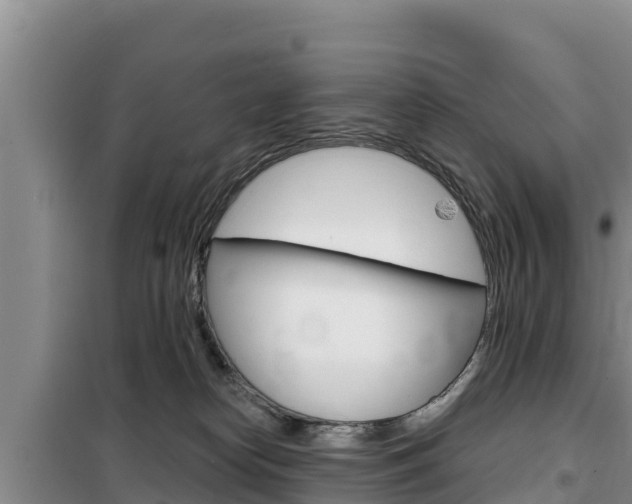 X0000100200182200805300755