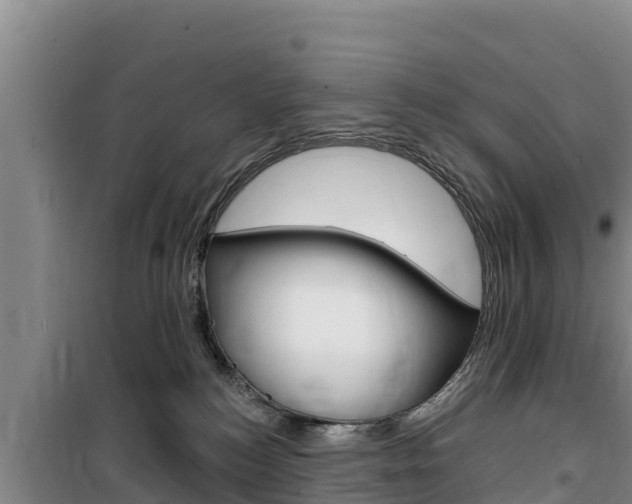 X0000100200184200805300755