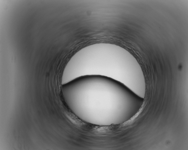 X0000100200186200805300755