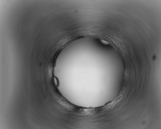 X0000100200188200805300755