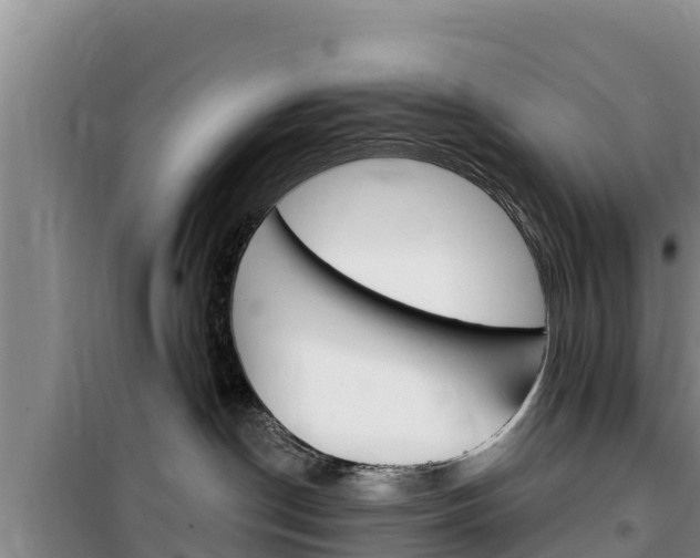 X0000100200190200805300755