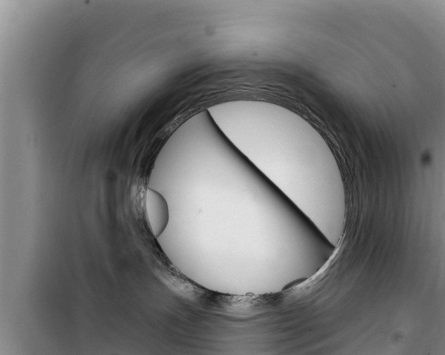 X0000100200191200805300755