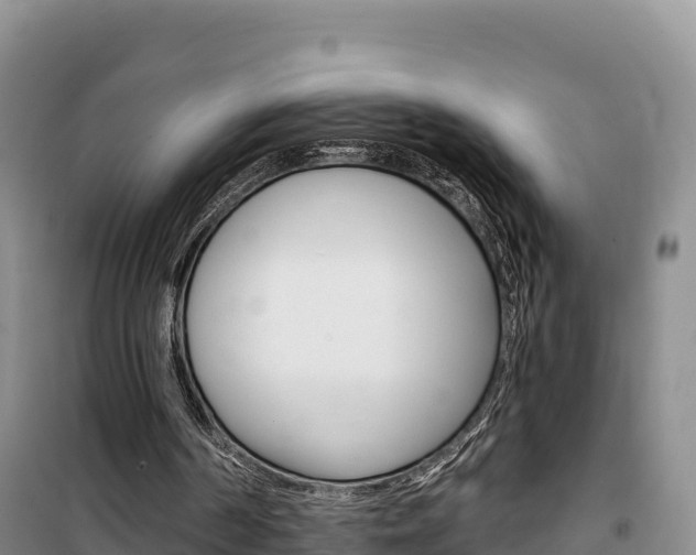 X0000100200194200805300754