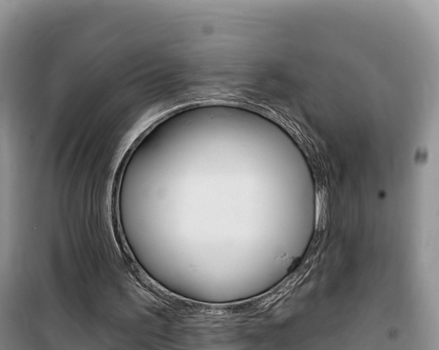 X0000100200195200805300754