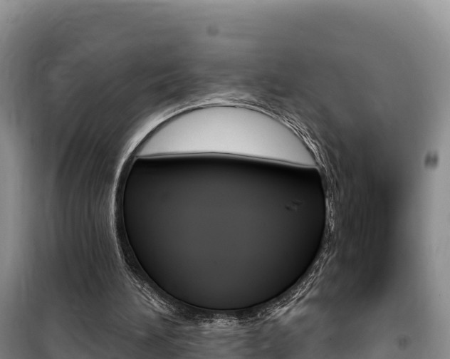 X0000100200196200805300754