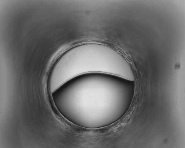 X0000100200197200805300754