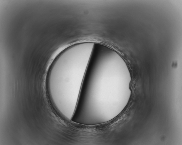 X0000100200200200805300754