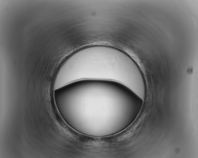 X0000100200201200805300754