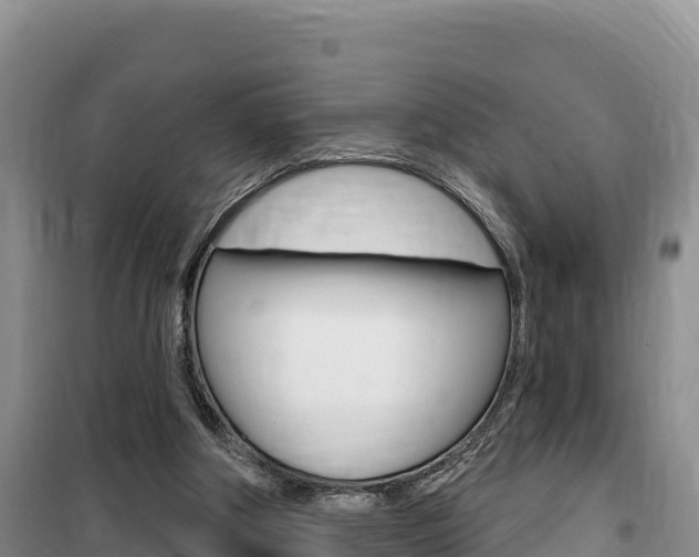 X0000100200202200805300754