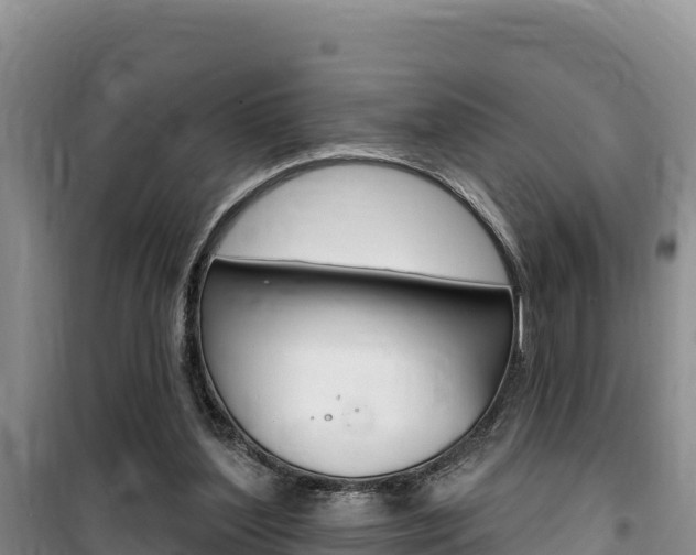 X0000100200204200805300754