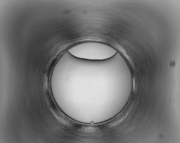 X0000100200205200805300754