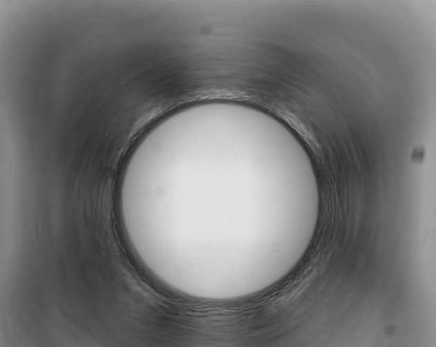 X0000100200207200805300754