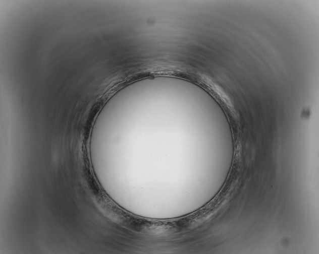 X0000100200209200805300754