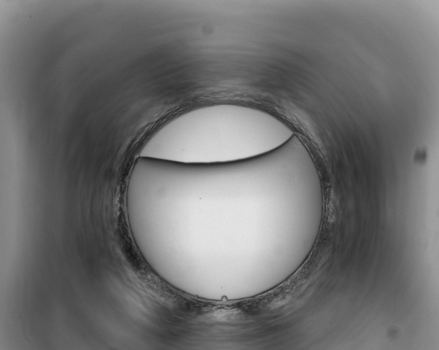 X0000100200210200805300754