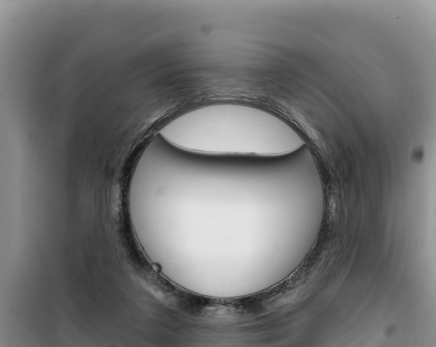 X0000100200211200805300754