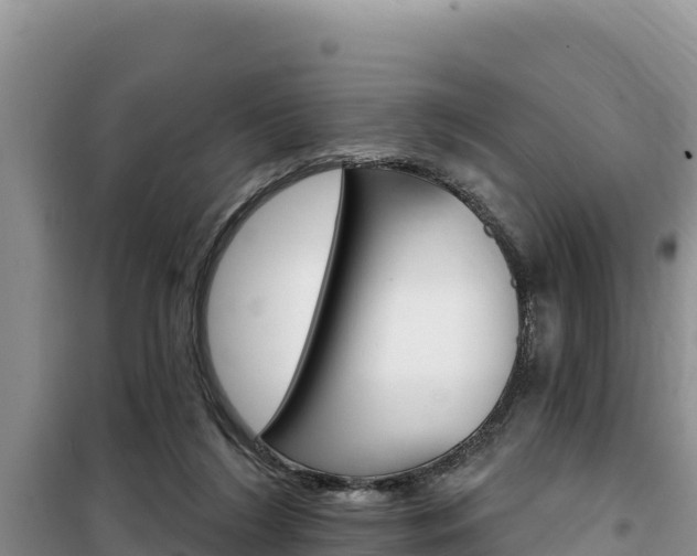 X0000100200212200805300754