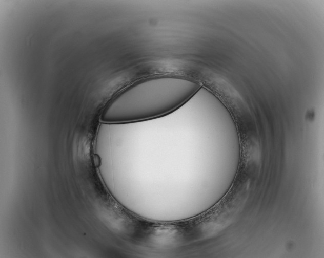 X0000100200214200805300754