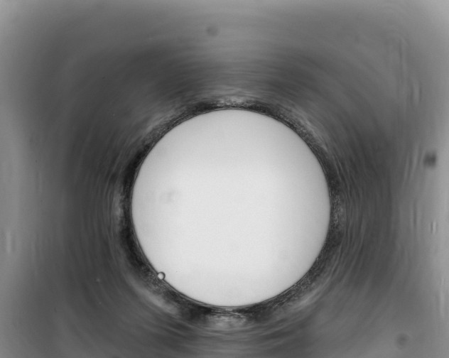 X0000100200215200805300754